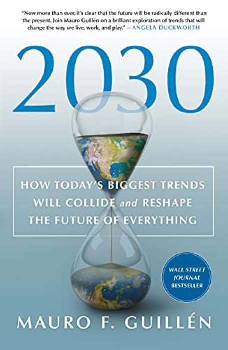 2030 how todays biggest trends will collide and reshape the future of everything by mauro guillen book Cover